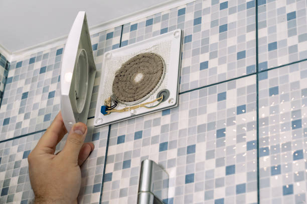 Best Professional Duct Cleaning Services  in Holtville, AL