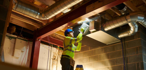 Best Residential Air Duct Cleaning  in Holtville, AL