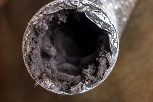 Best Ventilation Cleaning Services  in Holtville, AL