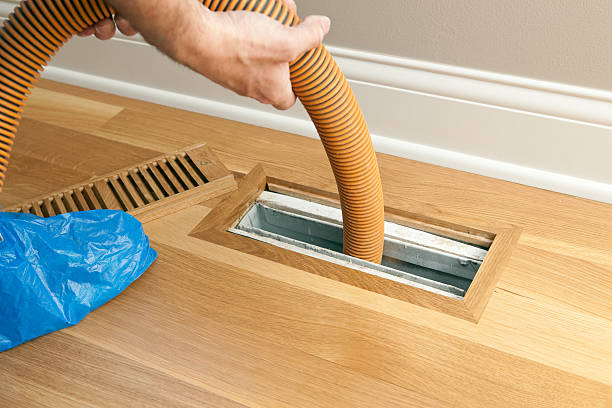 Best Local Air Duct Cleaning Services  in Holtville, AL