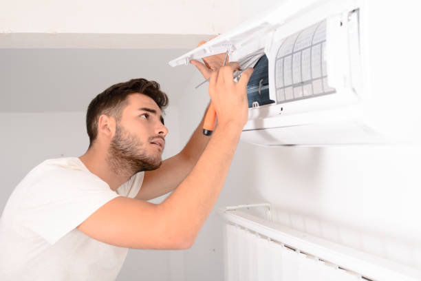 Best Professional Duct Cleaning Services  in Holtville, AL
